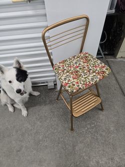 COSTCO Stepstool/ Chair