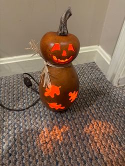 Meadowbrooke Gourds Lighted Jack-o'-Lantern – Hand-Crafted Real Gourd Lamp, Carlisle PA –