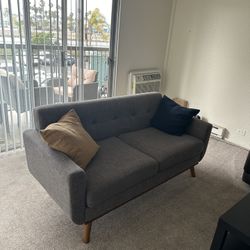Grey couch $50