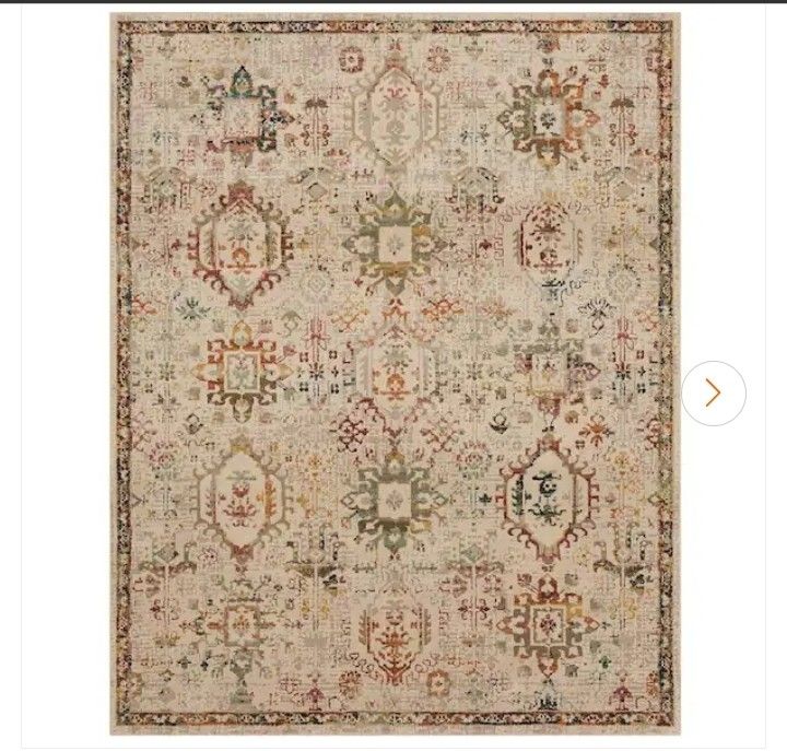 Home Decorators Collection Medallion Multi 7 ft. 10 in. x 10 ft. Indoor Area Rug