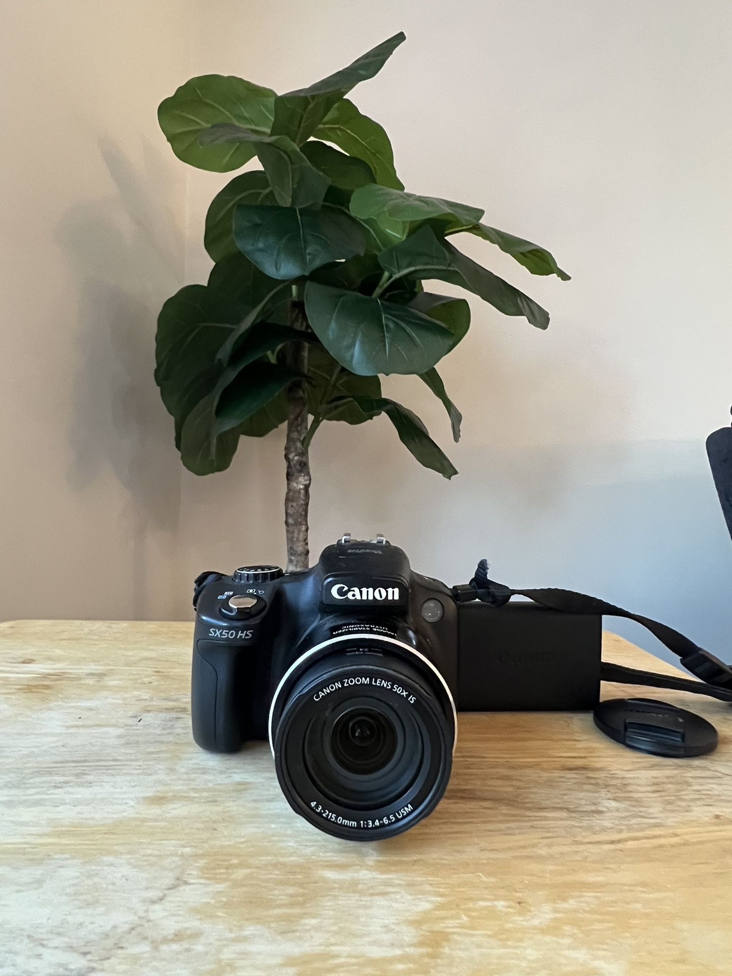 Canon PowerShot SX50 Hs