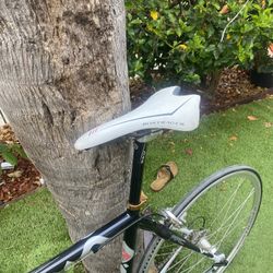 GARY FISHER BIKE
