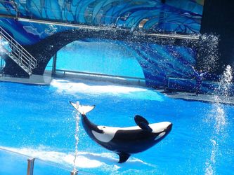Tickets SeaWorld