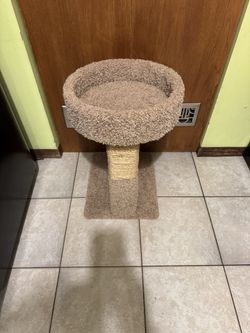 Cat Tree