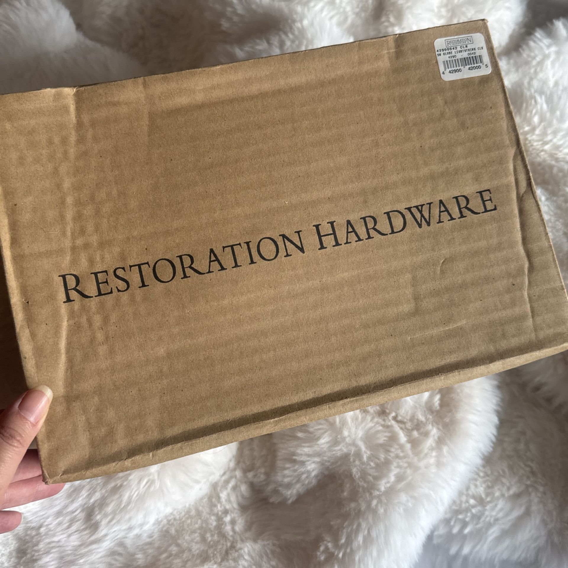 Restoration Hardware Globe Lights
