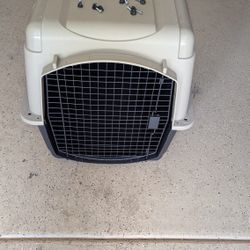 Plastic Dog Crate Kennel