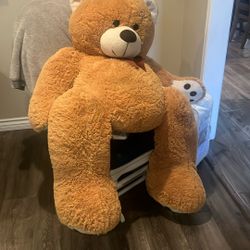 Large Teddy Bear