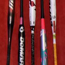 Various Baseball Bats