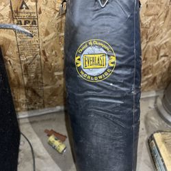 Everlast Punching Bag 