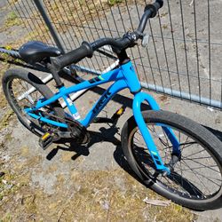 Kids Trek Bicycle 