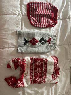 Dog Sweaters And Shirt. Two Small And The Pajama Is L