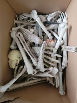 3 Spiders & Box of Bones