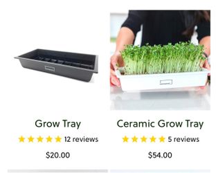 Microgreens Grow Tray