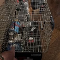 KeyWest Style Pinfish Trap (Large)