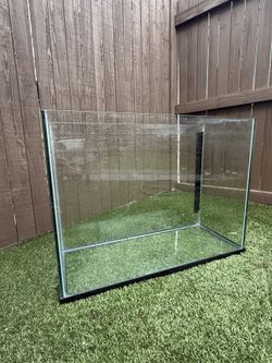 Fish Tank