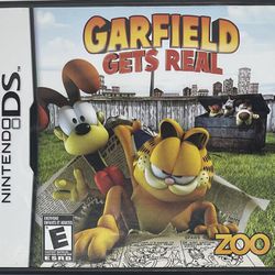 GARFIELD GETS REAL  Video Game