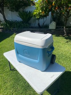 Gd. Cond. Igloo 24”x 16”x 21” Cooler