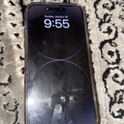 iPhone 14 Pro Max With TikTok 