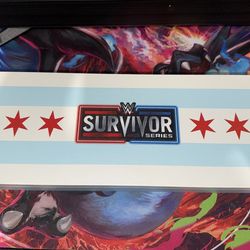 WWE Mini Belt Survivor Series and Summer Slam 2023