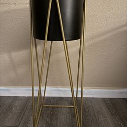 Metal indoor plants older