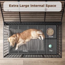 48 Inch Dog Crate DC 480301
