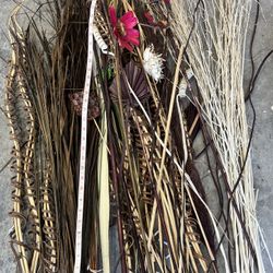 Dried plants, Sticks And Branches