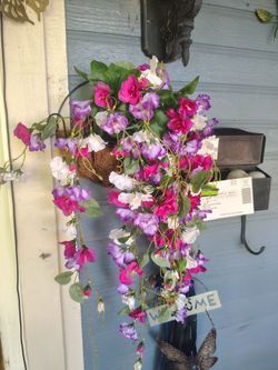 Beautiful Flowers