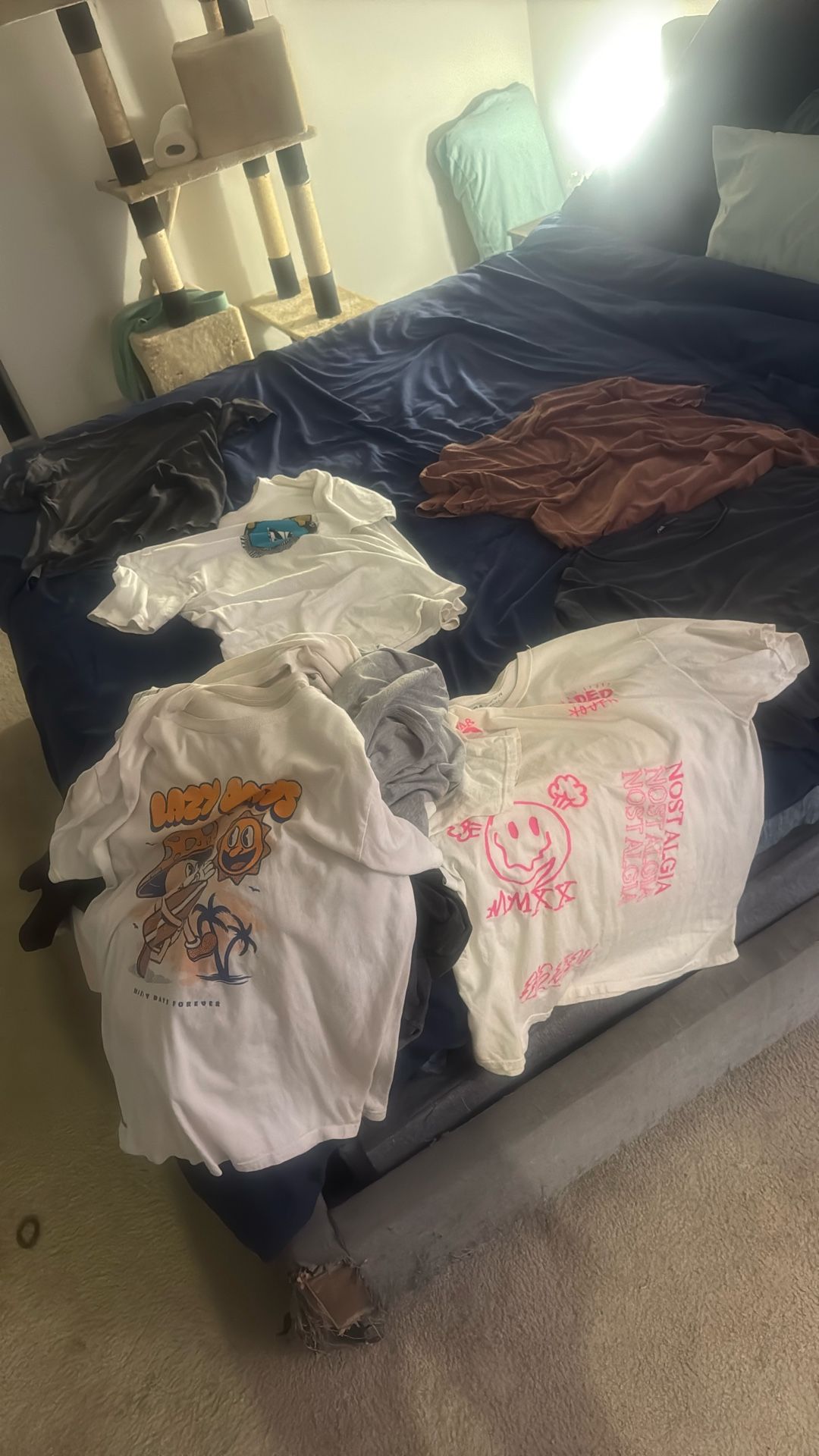 Bunch Of Size Large T Shirts