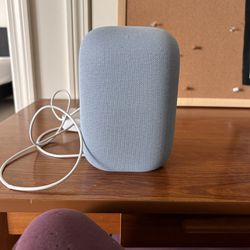 Google Nest Speaker
