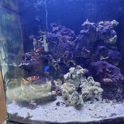 ARAGONITE and AQUARIUM ROCKS