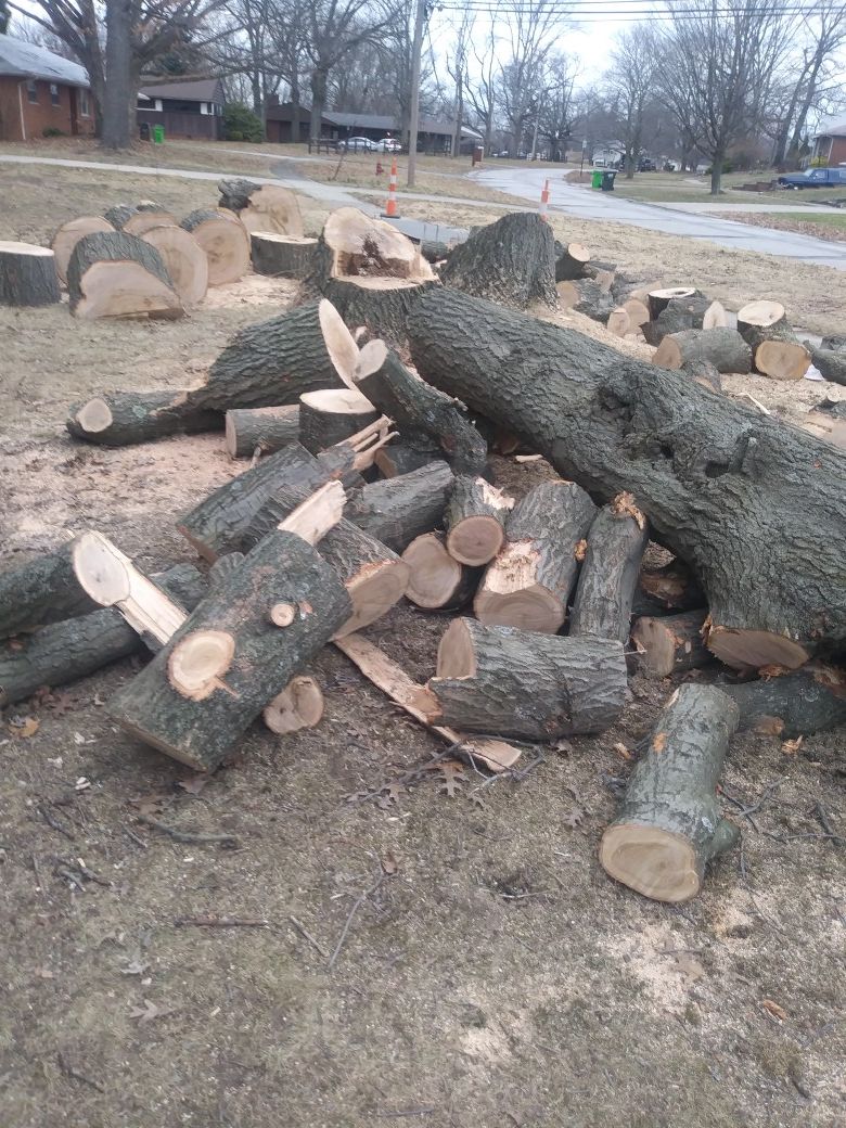 Fair Oak woods free ,we have mor what in the picture