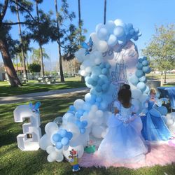 Cinderella Decorations For Sale 