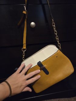 Navy And Gold Purse