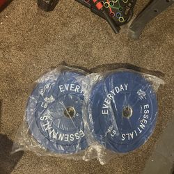 45lbs Olympic Weight Plate
