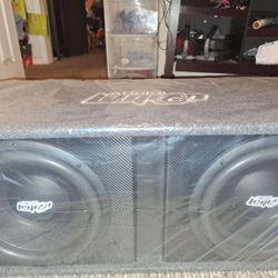 New Audio Legion 10" Subwoofers 