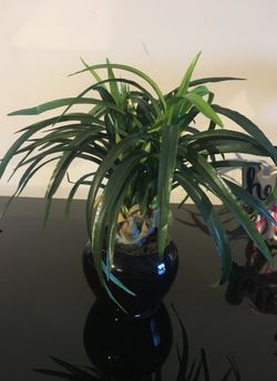 Faux Small House Plant