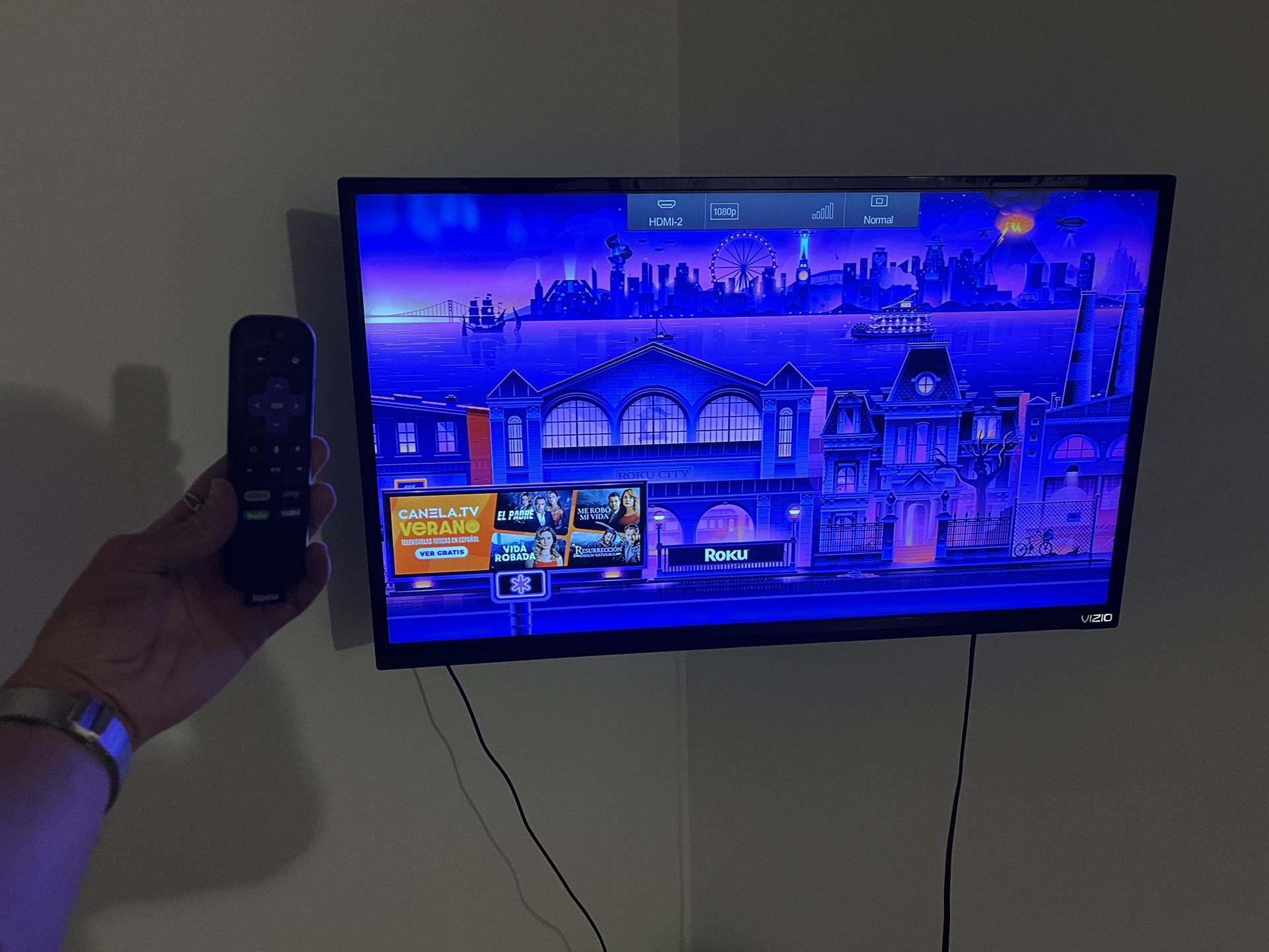 Vizio 32” TV + Roku + Wall Mount Kit