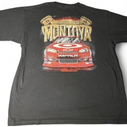 nascar pablo montoya