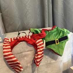 Small dog costume (elf)