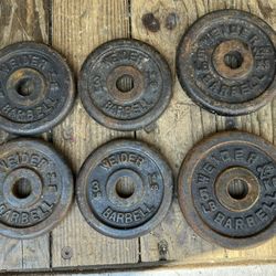 6 Weider Barbell Standard Weight Plates 