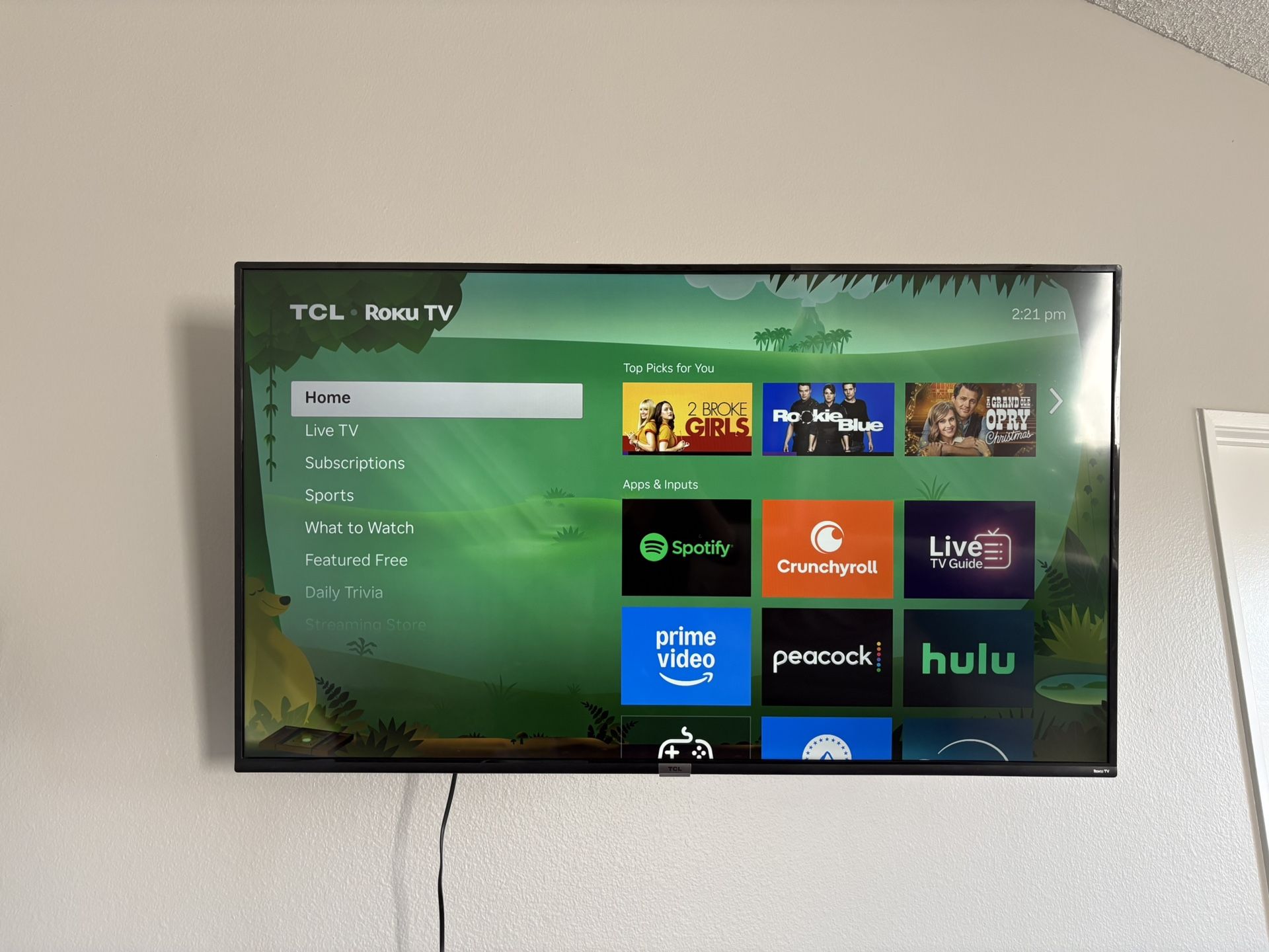 Roku 48” TV