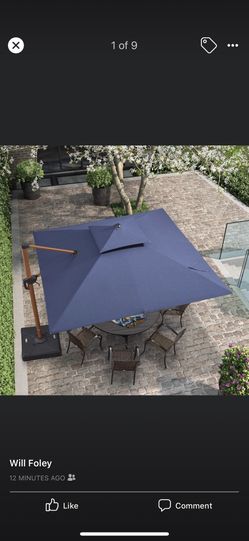 Purple leaf umbrella