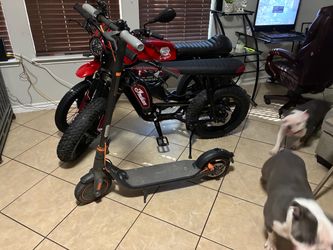 Segway ninebot scooter
