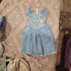 Cinderella Halloween Costume