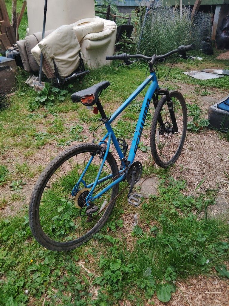 Schwinn/Copland Hybrid