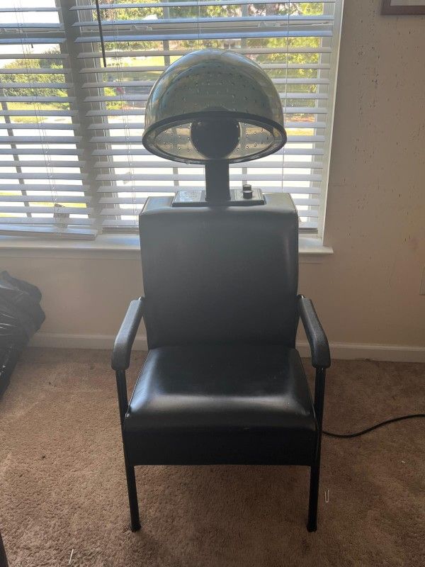 Professional Hair Dryer