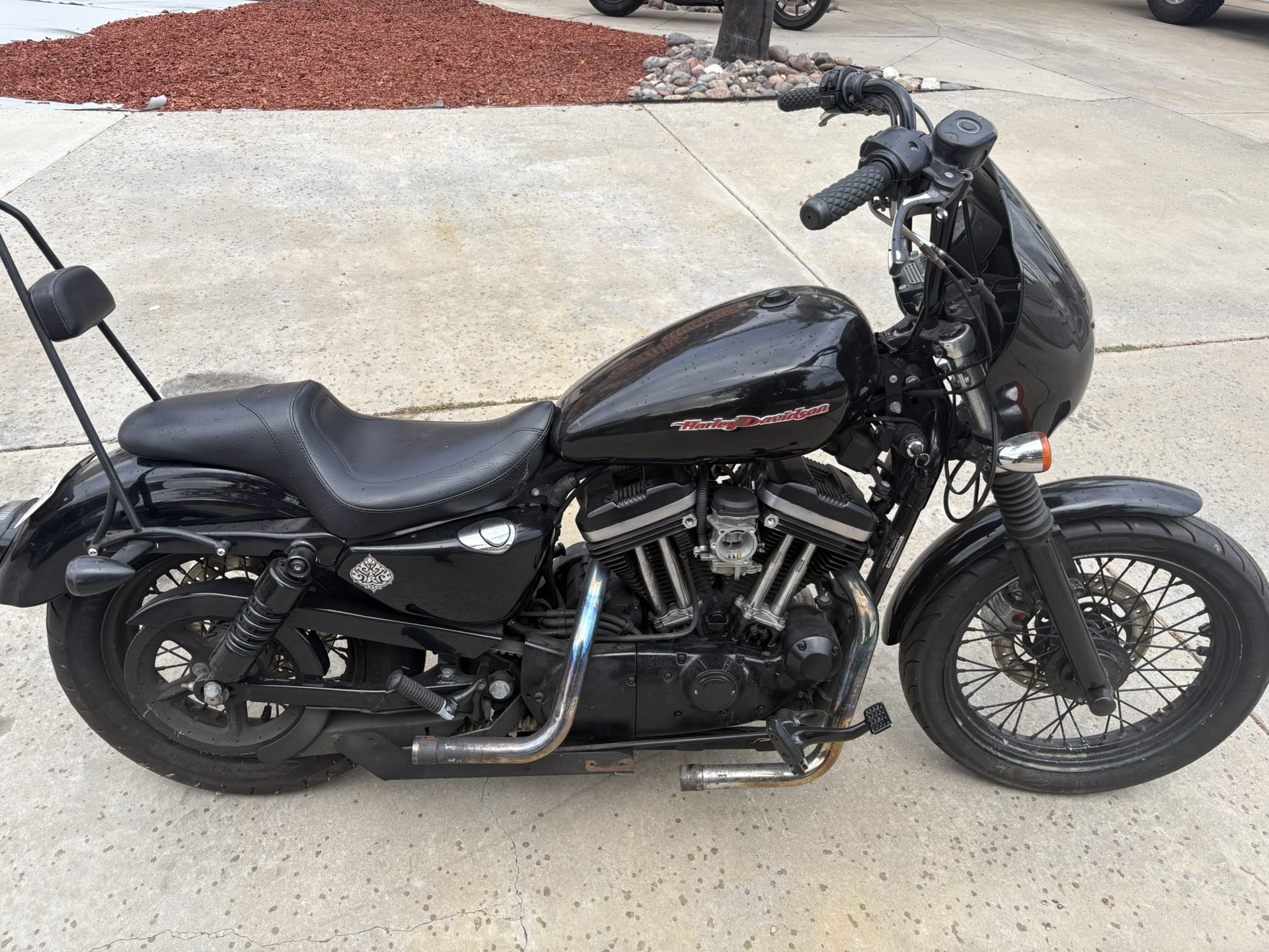 2005 Sportster 883 Low