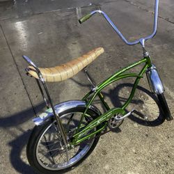 Beautiful Green Original Color Sting~ray 