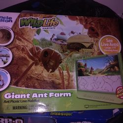 New Unopened Toys