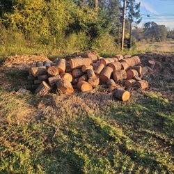 Firewood For Sale 